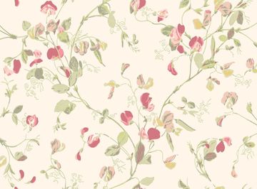 Sweet Pea Archive Anthology by Cole & Son - view 9