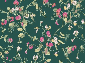 Sweet Pea by Cole & Son - view 8