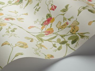 Sweet Pea Archive Anthology by Cole & Son - view 8