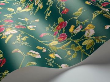 Sweet Pea by Cole & Son - view 9