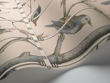 Uccelli by Cole & Son - view 8