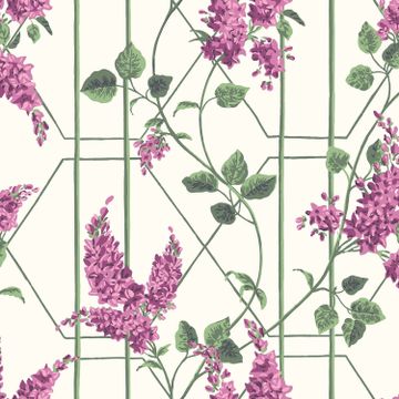 Wisteria by Cole & Son - view 9
