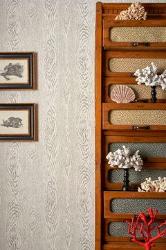 Wood Grain Curio by Cole & Son - view 9