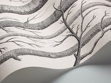 Woods by Cole & Son - view 8