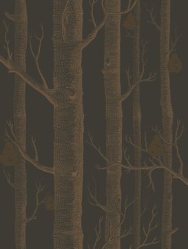 Woods & Pears by Cole & Son - view 9