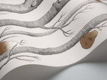 Woods & Pears by Cole & Son - view 8