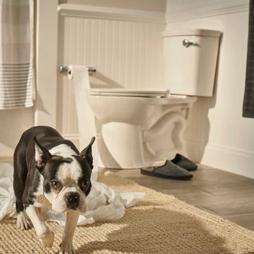 VorMax Two-Piece 1.28 gpf/4.8 Lpf Chair Height Elongated Right-Hand Trip Lever Toilet Less Seat by American Standard - view 4
