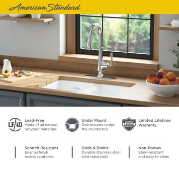 Delancey 30 x 19-Inch Cast Iron Undermount Double-Bowl Kitchen Sink by American Standard - view 5