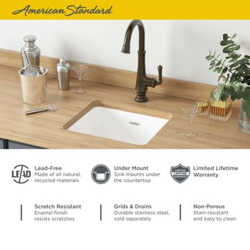 Delancey 18 x 16-Inch Cast Iron Undermount Single-Bowl Kitchen Sink by American Standard - view 5