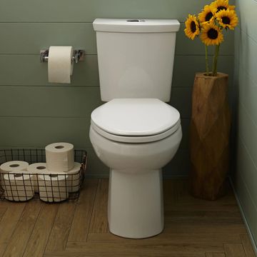 Easy Lift and Clean: Slow-Close & Easy Lift-Off Elongated Toilet Seat by American Standard - view 6