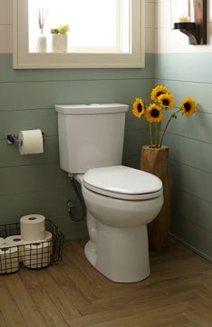 Easy Lift and Clean: Slow-Close & Easy Lift-Off Elongated Toilet Seat by American Standard - view 9