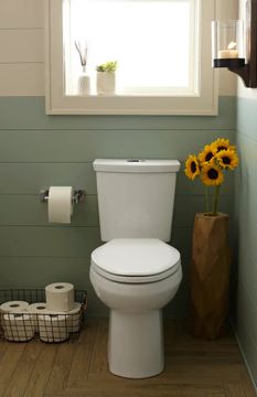 Easy Lift and Clean: Slow-Close & Easy Lift-Off Elongated Toilet Seat by American Standard - view 8
