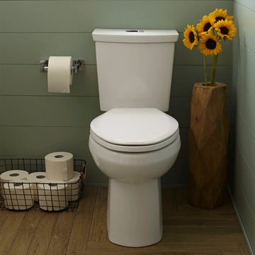Easy Lift and Clean: Slow-Close & Easy Lift-Off Elongated Toilet Seat by American Standard - view 5
