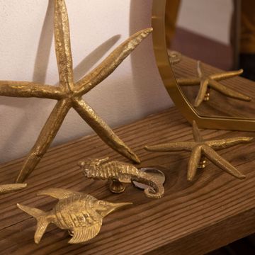 Oceano Stromboli - starfish brass knob by Il Bronzetto - view 3