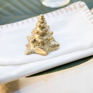 Oceano Cymatium - seashell brass knob by Il Bronzetto - view 2