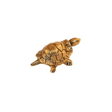 Fauna Eternis - turtle brass knob by Il Bronzetto - view 3
