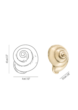 Oceano Nerita - seashell brass knob by Il Bronzetto - view 3