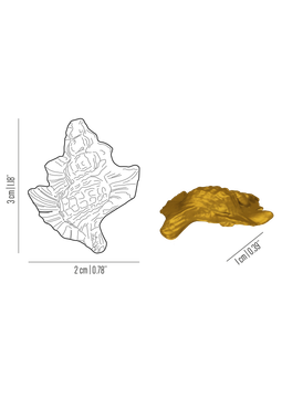 Oceano Nodular Murex - seashell brass knob by Il Bronzetto - view 3