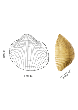 Oceano Fan - seashell brass knob by Il Bronzetto - view 3