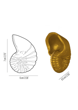Oceano Nautilus - seashell brass knob by Il Bronzetto - view 3