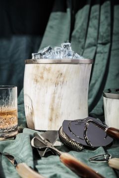 Ice Holder by Zanchi 1952 - view 2