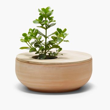 Pot Lur by ALKI - view 3