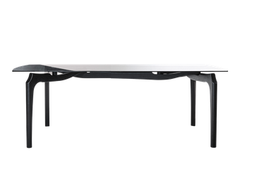 CARLINA DINING TABLE RECTANGULAR by BD Barcelona Design - view 4