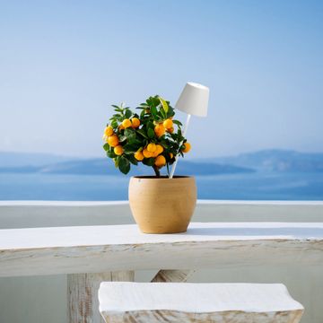 Poldina lamp con picchetto by Zafferano - view 3