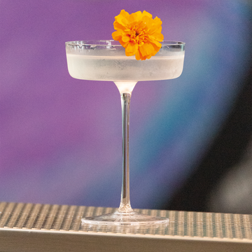 SAM Collection coupette martini by Zafferano - view 3