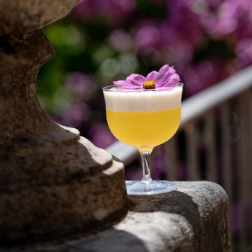 SAM Collection fizz glass by Zafferano - view 3