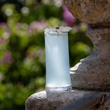 SAM Collection collins highball by Zafferano - view 3