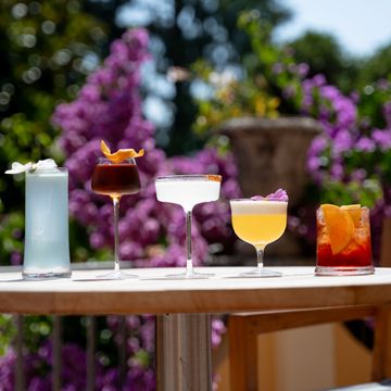 SAM Collection collins highball by Zafferano - view 6