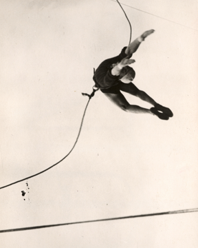 Acrobate de Gras N°323 Conique L by DCWéditions - view 8