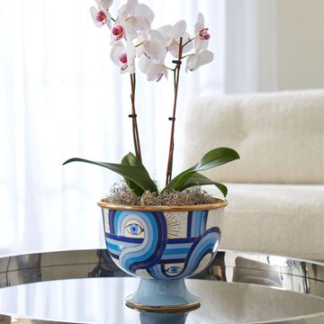 Druggist Large Bowl by Jonathan Adler - view 2