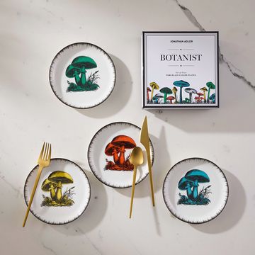 Botanist Small Plate Set by Jonathan Adler - view 2