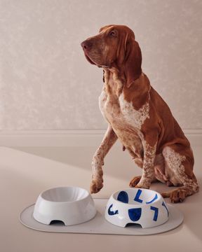 Itsumo pet Yunoki ware by Alessi - view 3