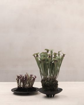 Duck Tray, Small - Coffee by 101 copenhagen - view 8