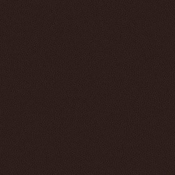 Silicone Nappa by Designtex - view 5