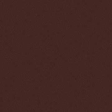 Silicone Nappa by Designtex - view 6