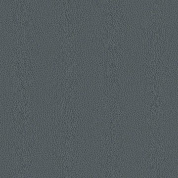 Silicone Nappa by Designtex - view 7