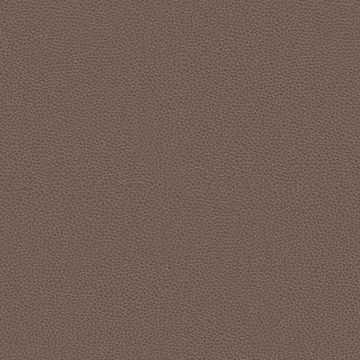 Silicone Nappa by Designtex - view 2