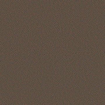Silicone Nappa by Designtex - view 3