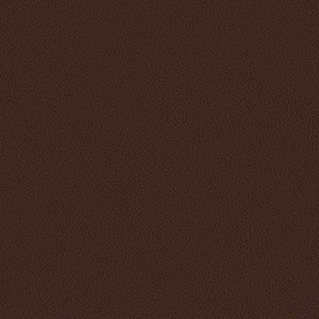 Silicone Nappa by Designtex - view 4