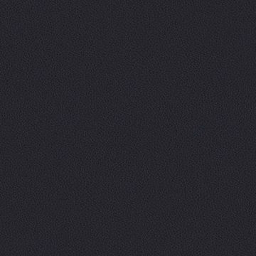 Silicone Nappa by Designtex - view 9