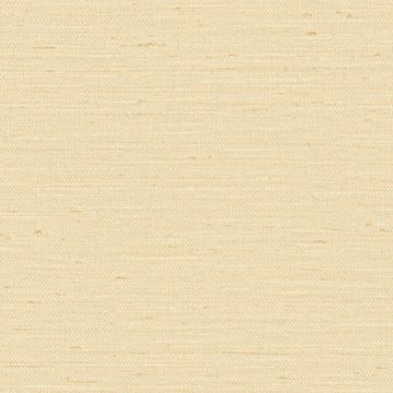 Pattu by Designtex - view 2