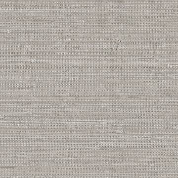 Grasscloth by Designtex - view 3