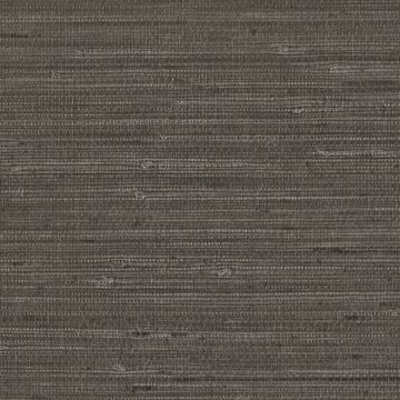Grasscloth by Designtex - view 5