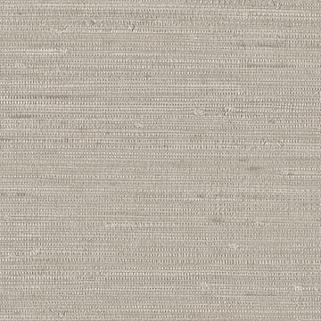 Grasscloth by Designtex - view 6