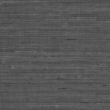 Grasscloth by Designtex - view 7