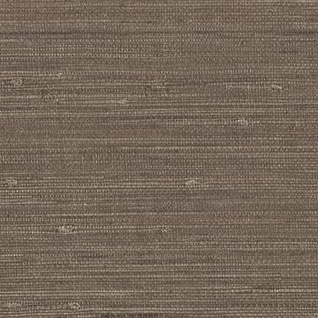 Grasscloth by Designtex - view 9